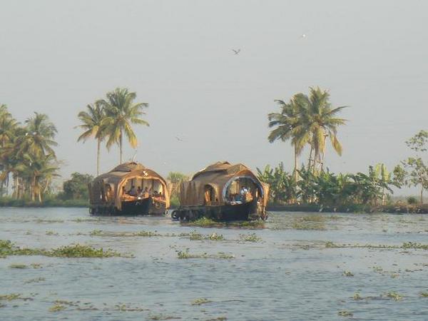 Backwaters - houseboats
