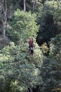 The Gibbon experience - zip lines