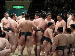 A Sumo Trial