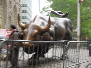 Bullish behaviour on Wall Street