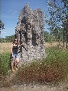 Giant termite mounds