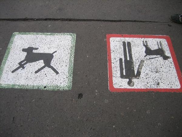 Do the dogs understand this?