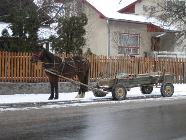 Common mode of transport