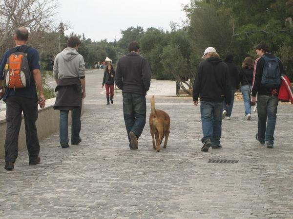The 'guide dog' takes the lead to the next historical site!