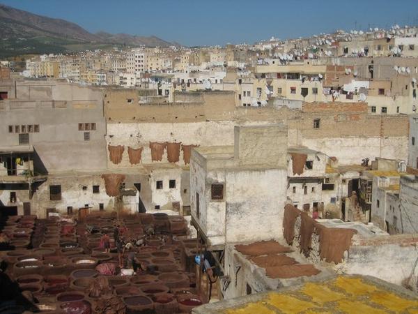 Looking out at the rooftops in the Medina