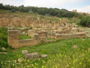 Roman Ruins in Chellah