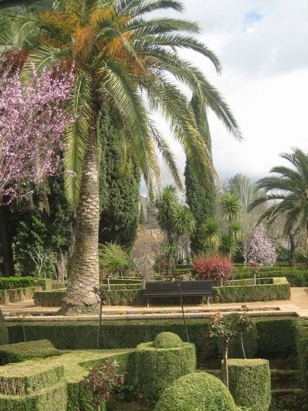 Part of the immaculate gardens at the Alhambra
