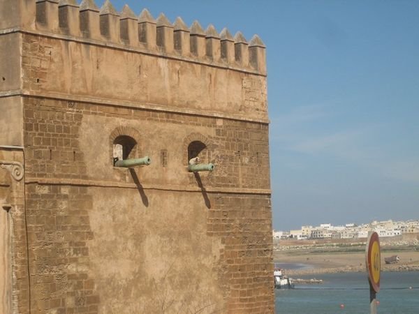 The dog guarding the fort in Rabat