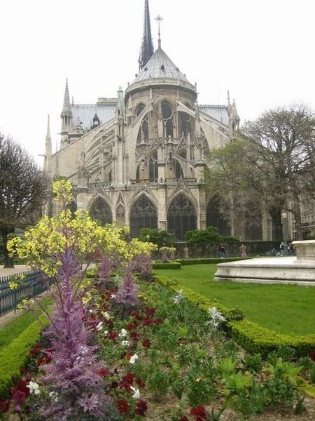 Notre Dame from the gardens at the back