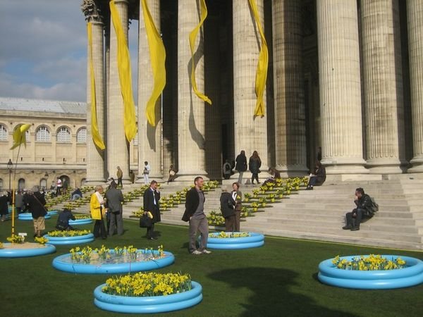 Daffodils for Cancer at the Pantheon