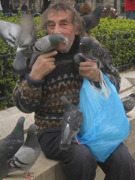 The Pigeon Man at Notre Dame