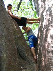 The boys can never resist climbing!