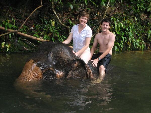Swimming with elephants