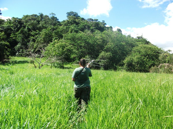 Andrea using an aerial to track Micoleaos with radio collars