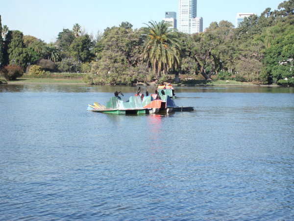 Cormorants on the Pedal boats