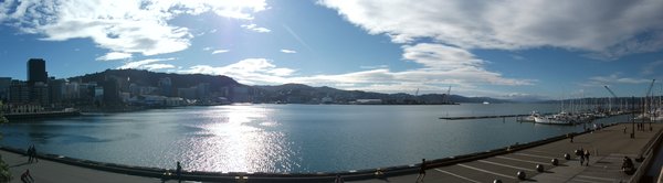 View of the Harbour from Te Papa