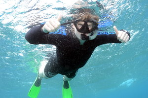 Dave snorkelling the Barrier Reef