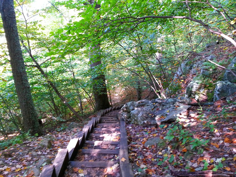 Part of the trail