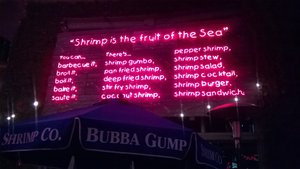 There's all different kinds of shrimp...