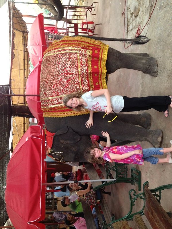 Feeding the 'royal' elephants at Ayutthya 