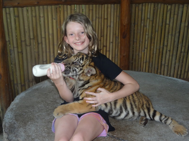 Abby feeding 3 month old tiger cub