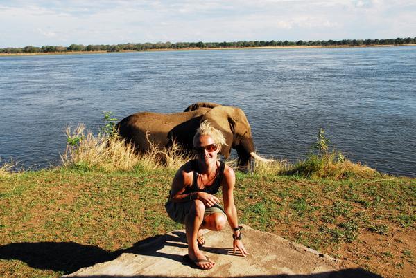 Elephants · Lower Zambezi River · Zambia