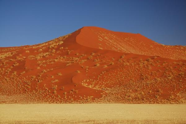 Sossulvei Dunes · Namibia