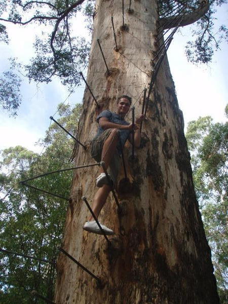Me Climbing the Gloucester Tree 