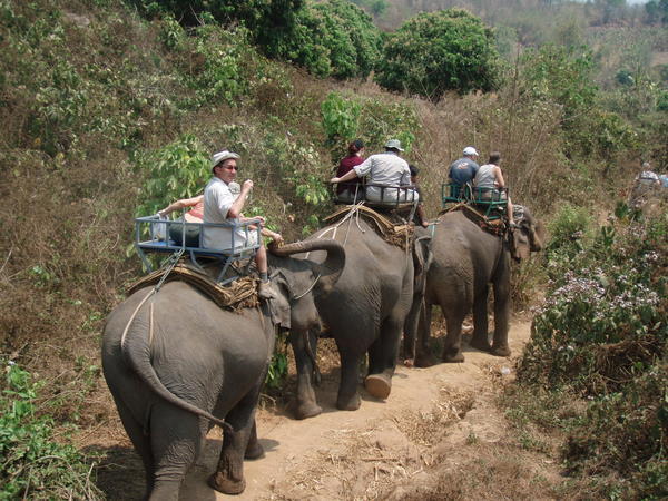Elephant trecking in Chaing Mai