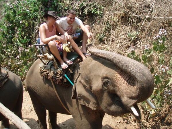 Me on the elephant