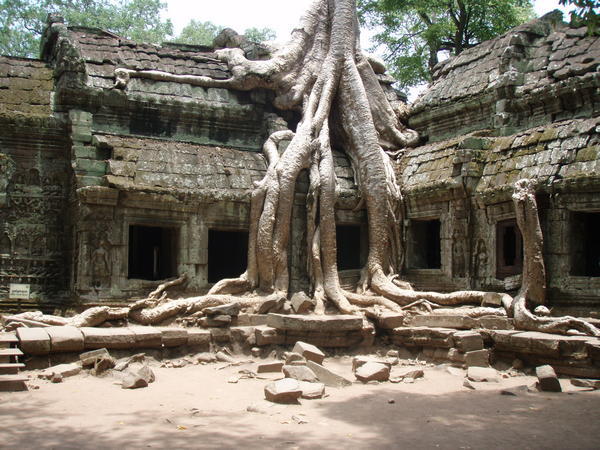 Another part of Ta Prohm
