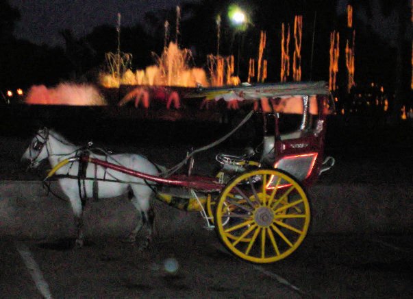 HORSE CARRIAGE