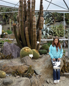 Giant Cactus in Trauttmansdorf