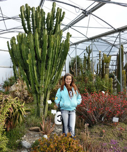 Trauttmansdorf majestic Cactus