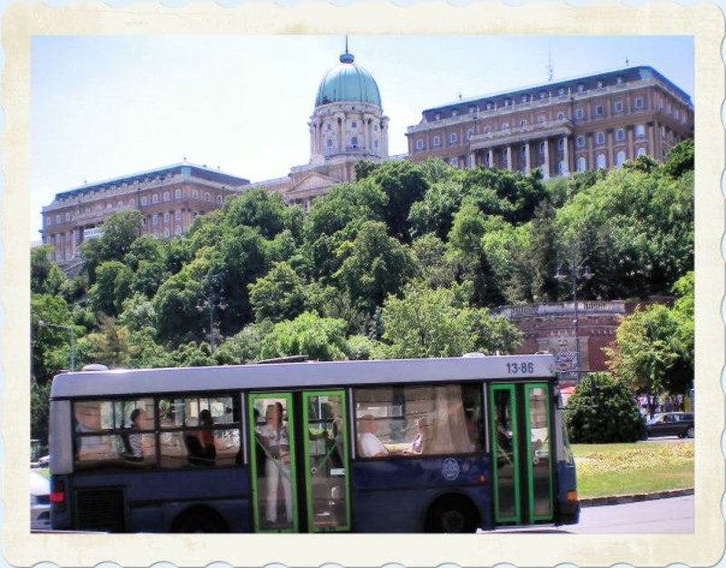 Vintage Bus & The Palace View