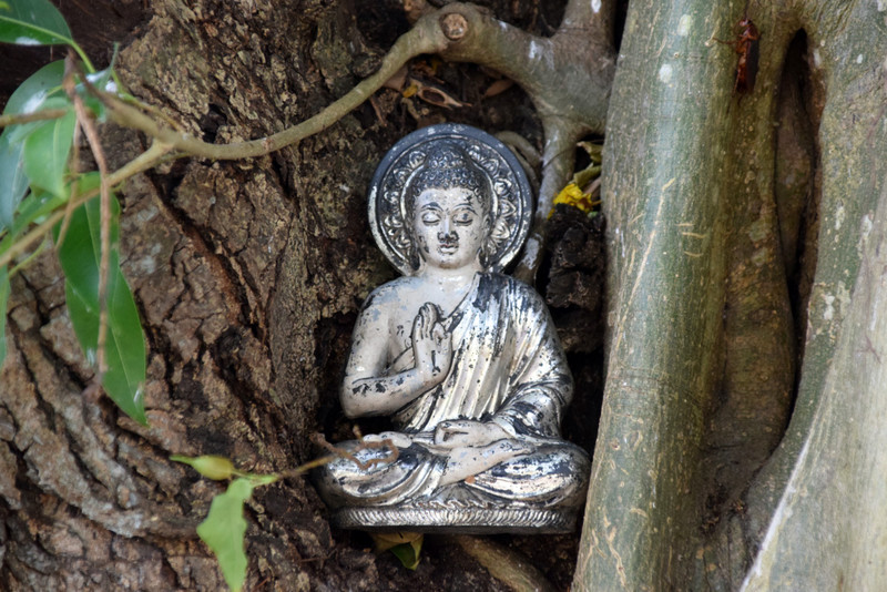 Hidden Buddha statue