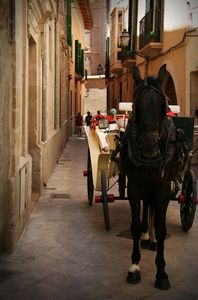 the streets of Palma