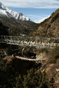 suspension bridges again...