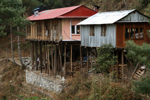 local houses