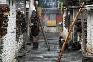 Tibetan refugee camp