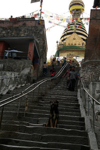 at Swayambhunath