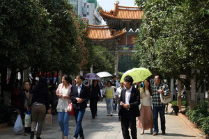in Kunming
