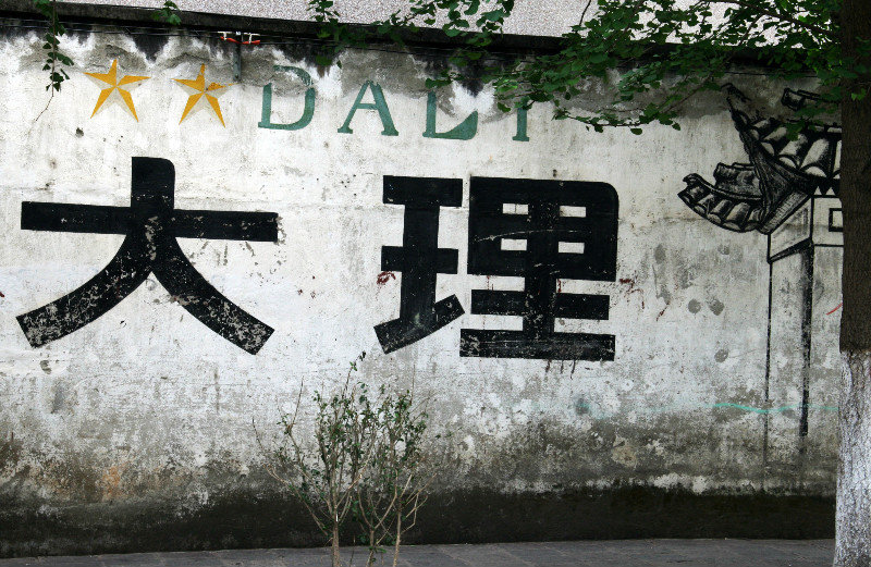 welcome to Dali!