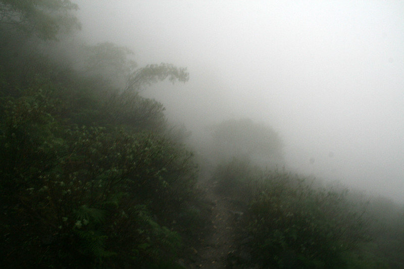 walking through misty path...