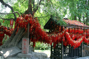 around Wuhou Temple