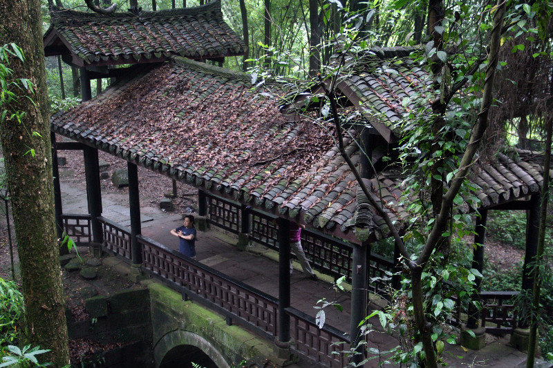 at Emei Shan Park