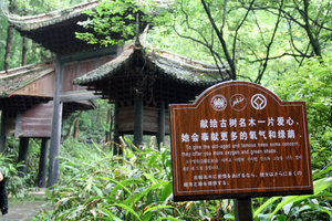 at Emei Shan Park