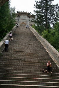 some more steps... to Nanshan Temple this time!