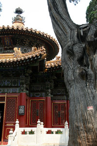 at the Forbidden City