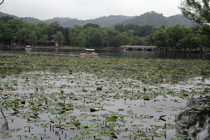 at the gardens of summer palace